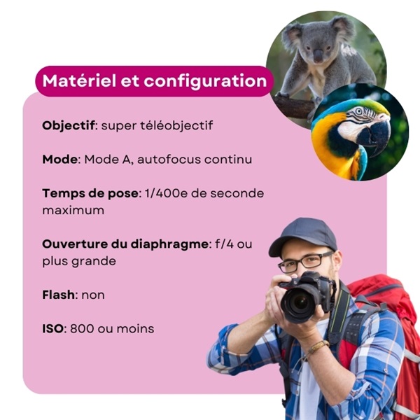 conseils photos animaux
